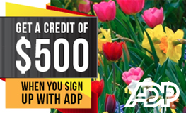 Receive up to a $500 Credit When you Sign up With ADP Payroll Services